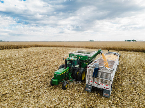 Corn Harvest 115103