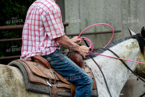 Rancher Roping Cattle 214167