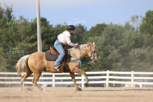 Equestrian Riding Horse 160046