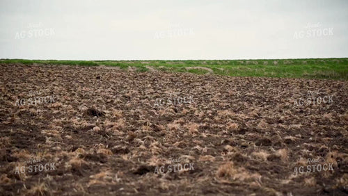 Planting into Tilled Cover Crops - 178