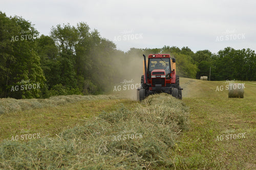 Baling Hay 206028
