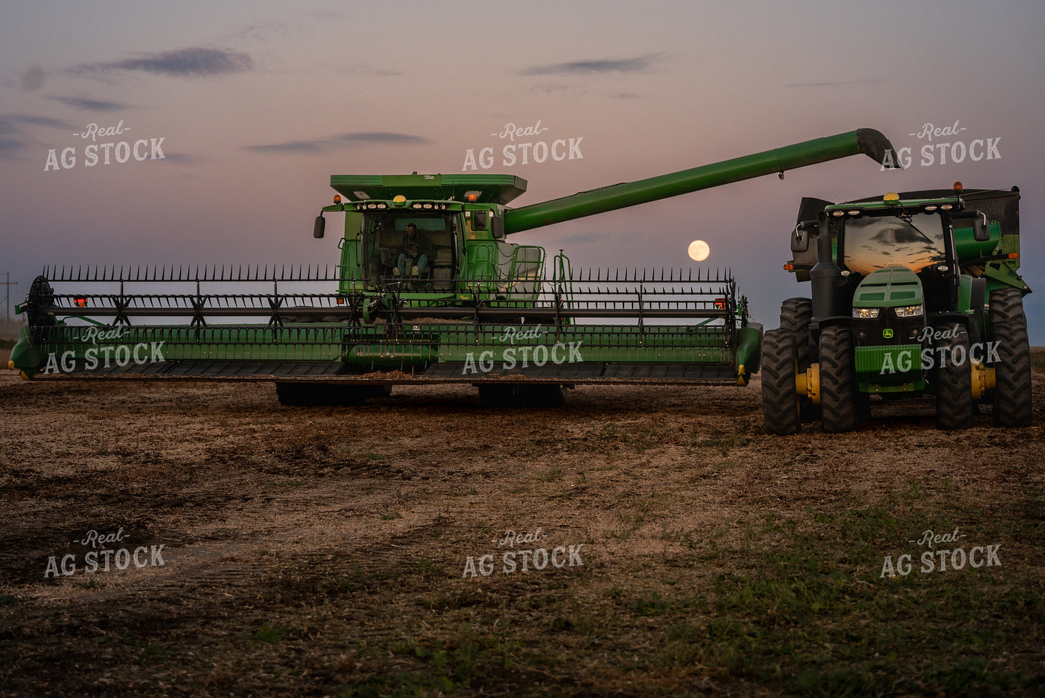 Soybean Harvest 185155