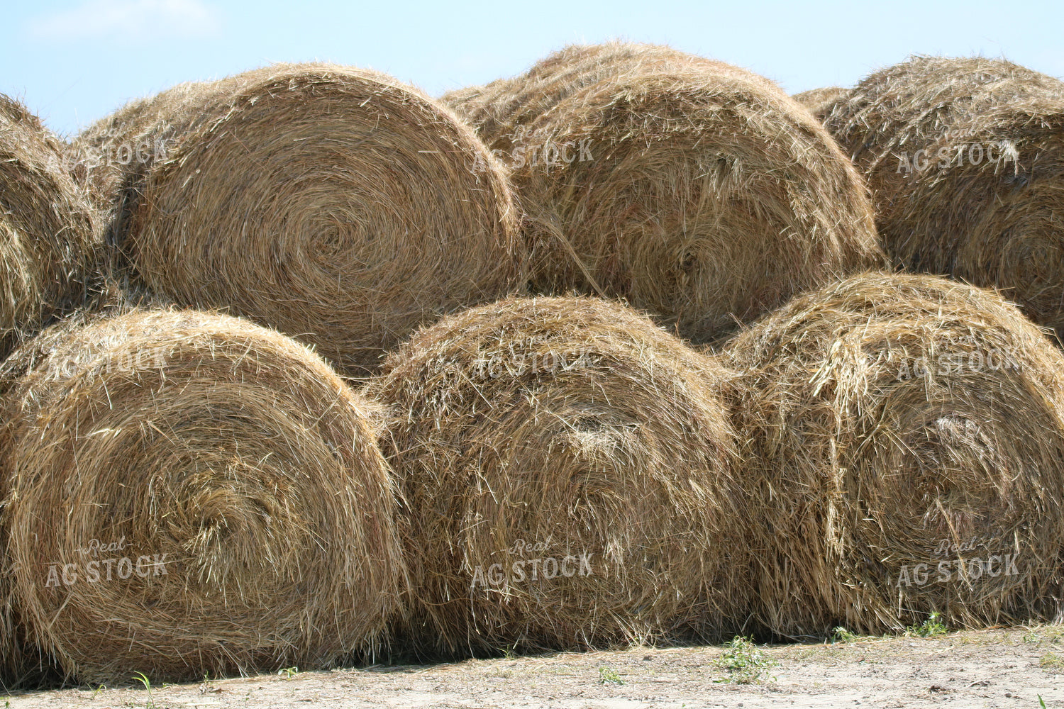 Stacked Round Bales 82019
