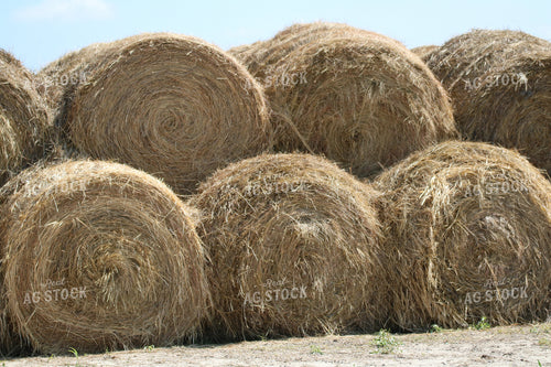 Stacked Round Bales 82019