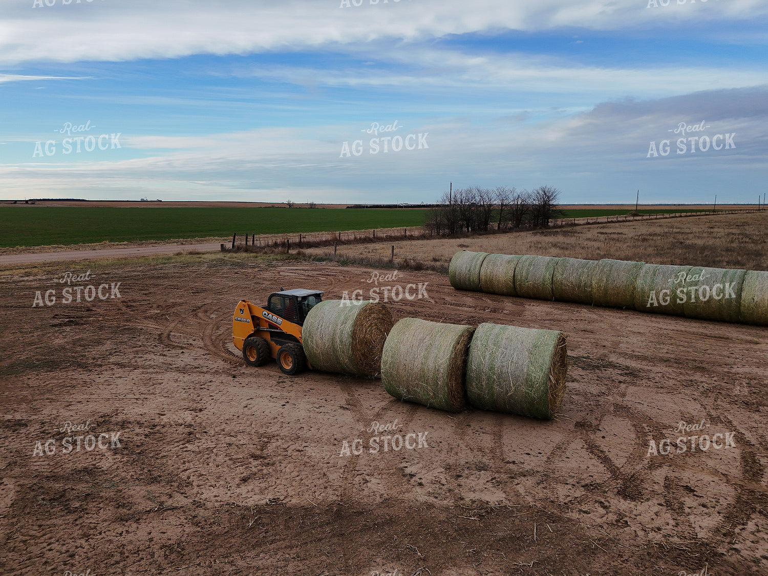 Moving Round Bales with Skid Steer 239414