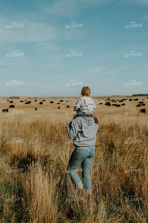 Ranch Family Checks Cows 187069