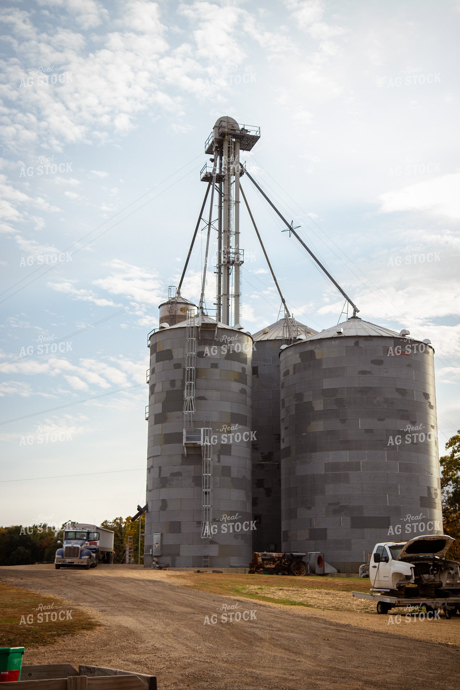 Grain Bins on Farmyard 268112