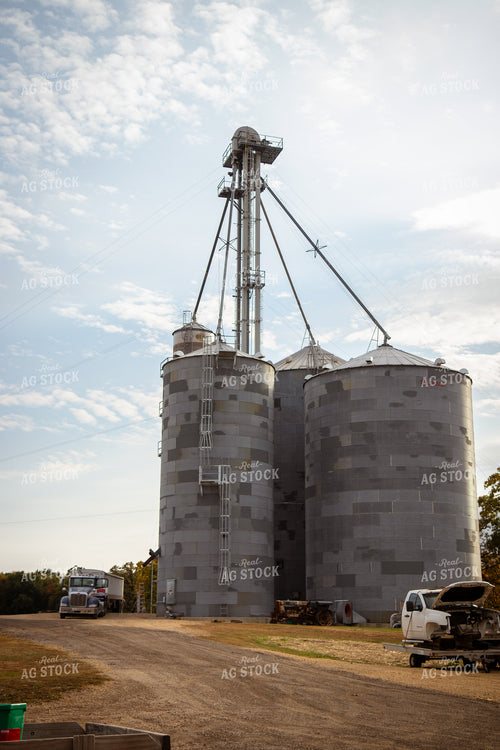 Grain Bins on Farmyard 268112