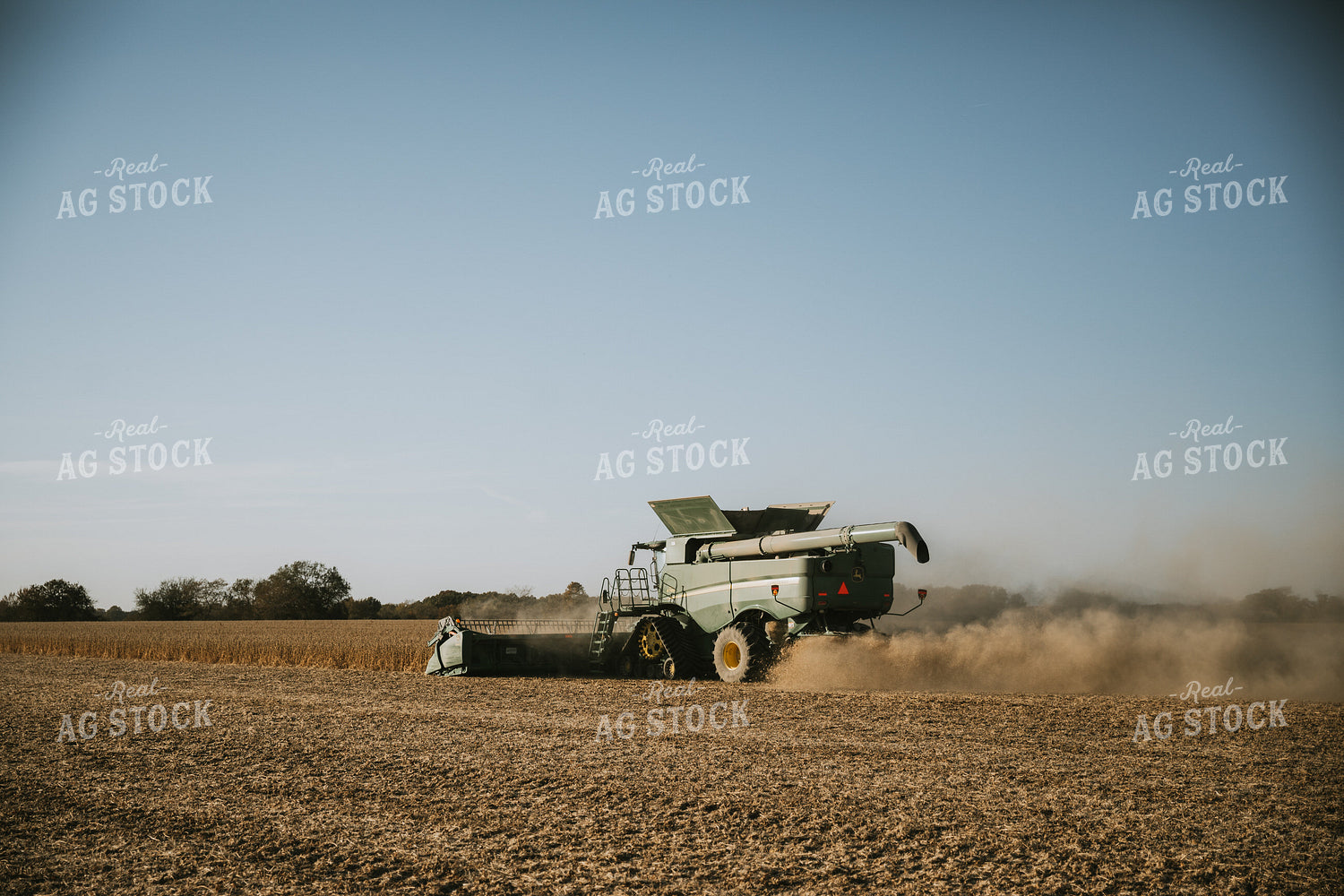 Soybean Harvest 7191