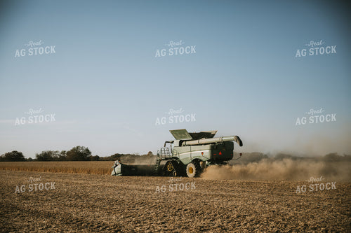 Soybean Harvest 7191