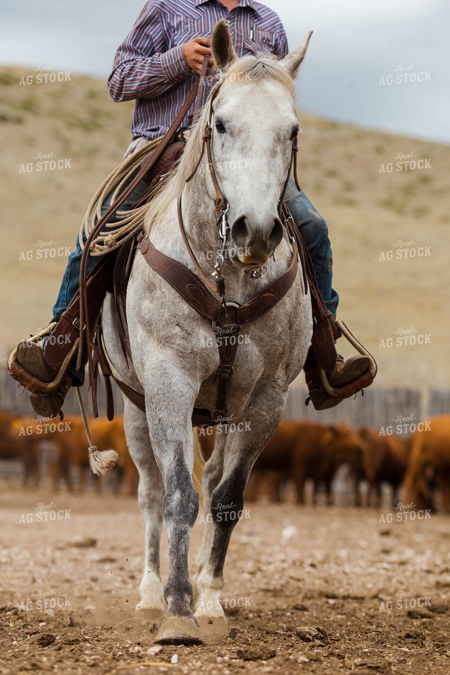 Rancher on Horseback 97229