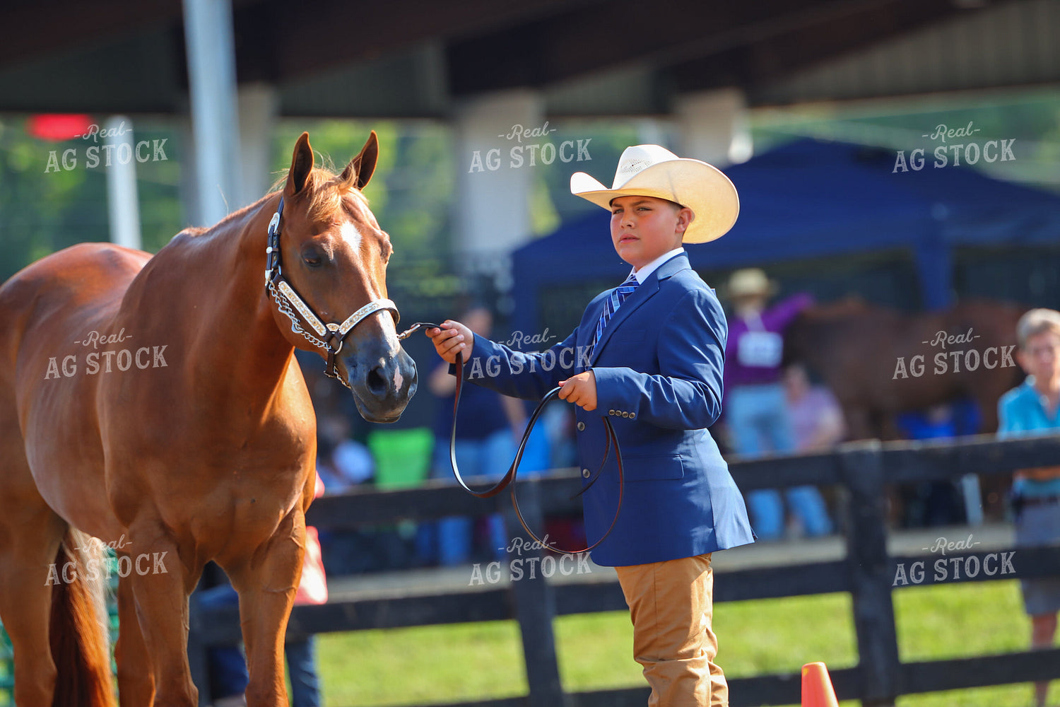 4H Kid Showing Horse 52189