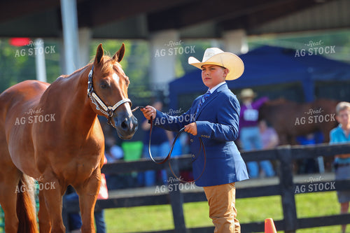 4H Kid Showing Horse 52189