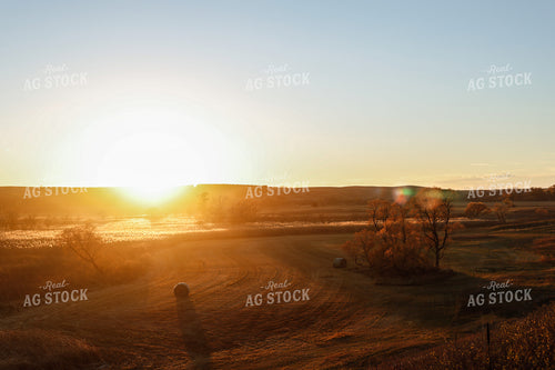 Rural Landscape 123004
