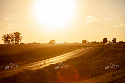 Rural 2046