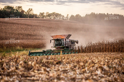 Corn Harvest 270629