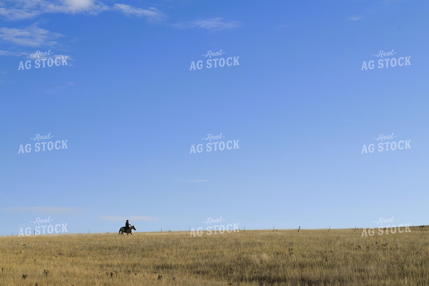 Cowboy Riding Horse 284009