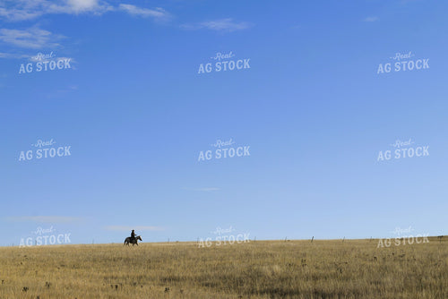 Cowboy Riding Horse 284009