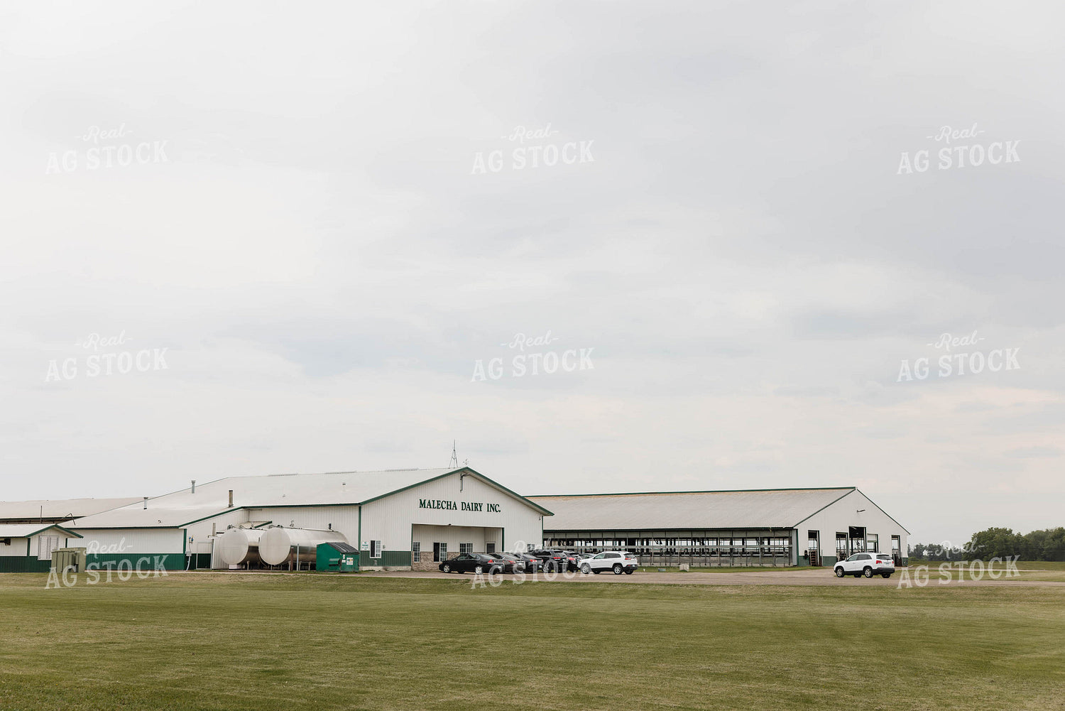 Cattle Barns 152762