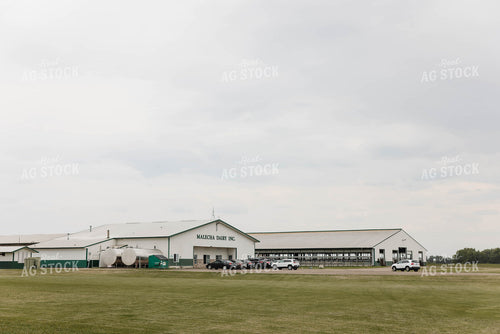 Cattle Barns 152762