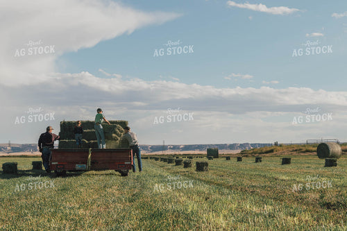 Farmer Racking Square Bales 61057