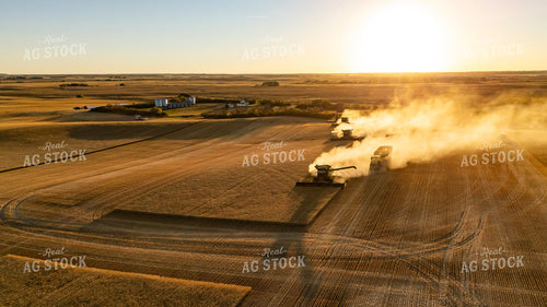 Wheat Harvest 187285