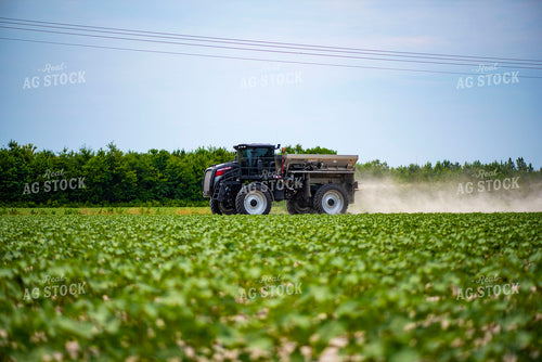 Spreading Dry Fertilizer in Cotton Field 136213