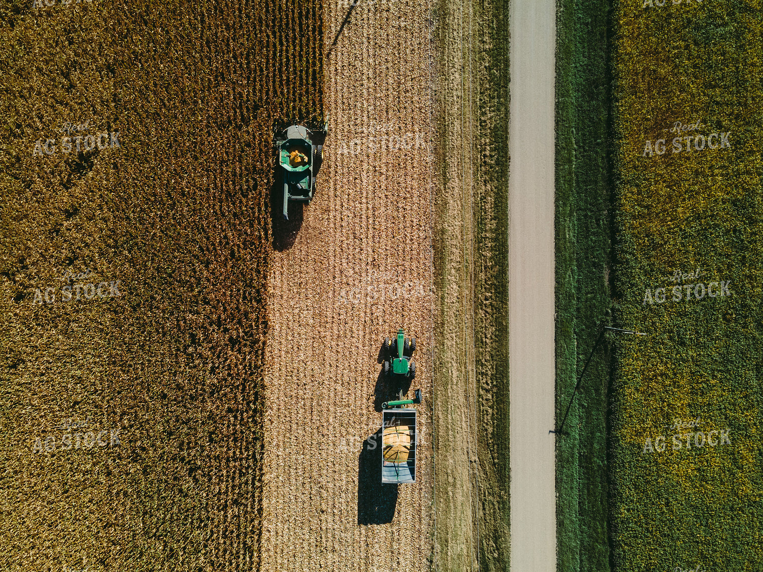 Overhead of Corn Harvest 4645