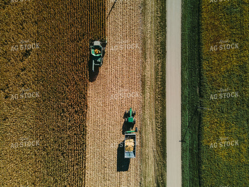 Overhead of Corn Harvest 4645