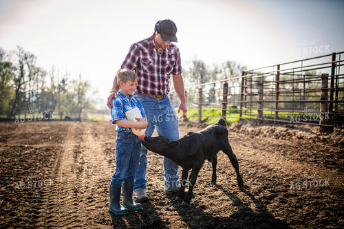 Rancher and Son Feeding Calf 285032