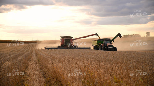 Combine Unloading Soybeans into Auger Wagon on the Go 25722