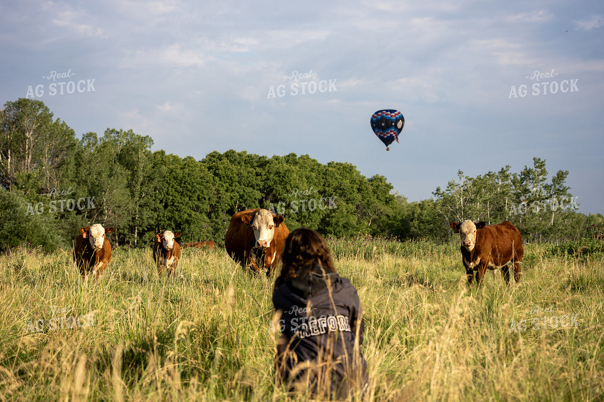 Photographer with Camera in Pasture 65954