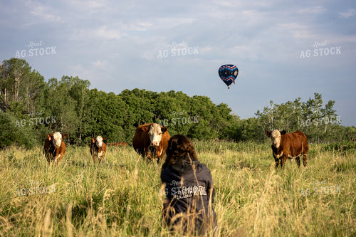 Photographer with Camera in Pasture 65954