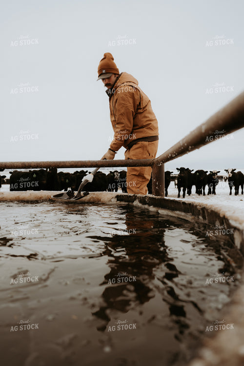 Rancher Breaking Up Water Trough 61231