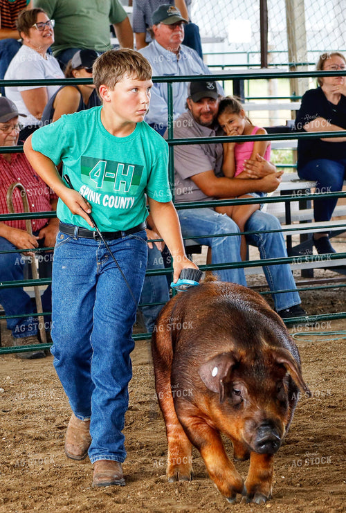 Youth Pig Show 141709