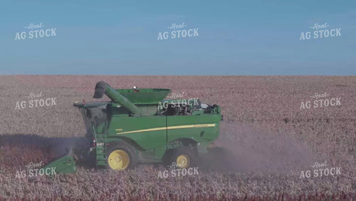 Milo Harvest 239063