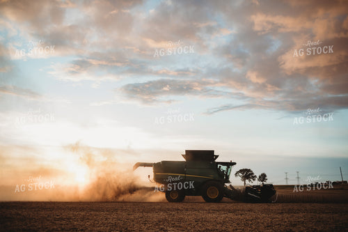 Combine Harvesting Soybeans at Sunset 3473