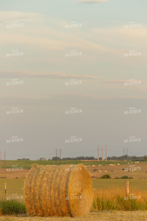 Hay Bale in Field 143009