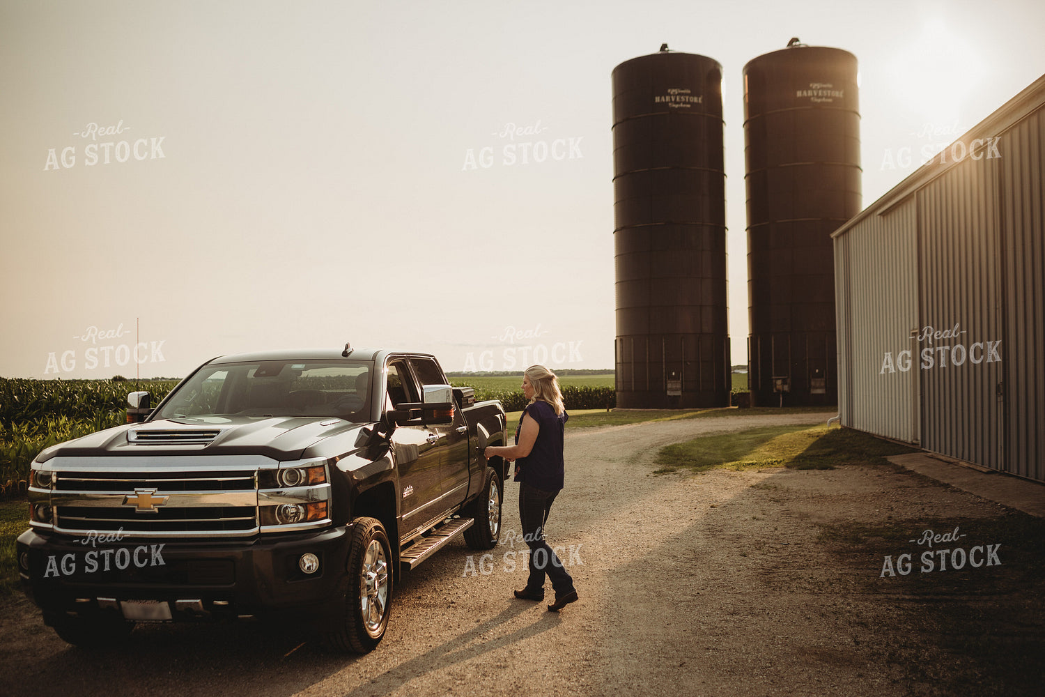 Farm Wife Talking to Farmer inside Pickup Truck 4533
