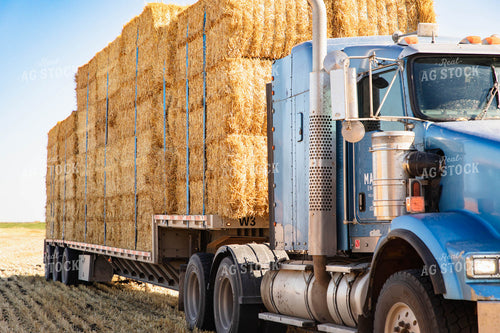 Moving Wheat Straw Bales 152582