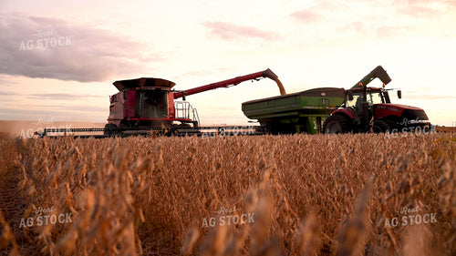 Combine Unloading Soybeans into Auger Wagon on the Go 25753
