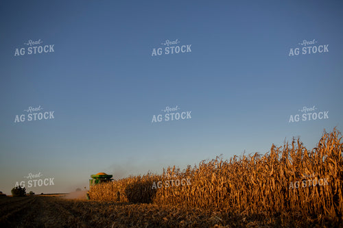 Harvest 2521