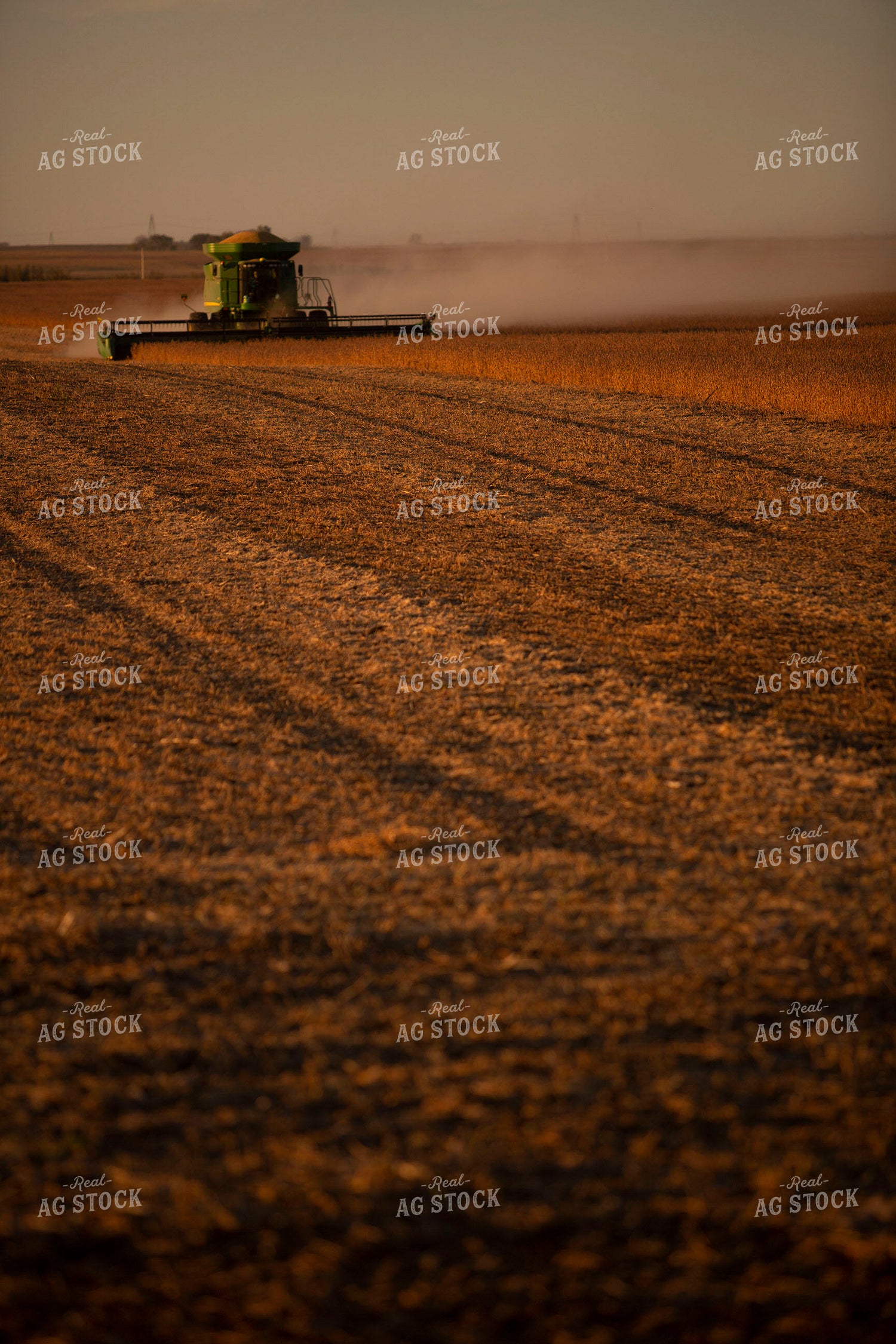 Harvest 1717