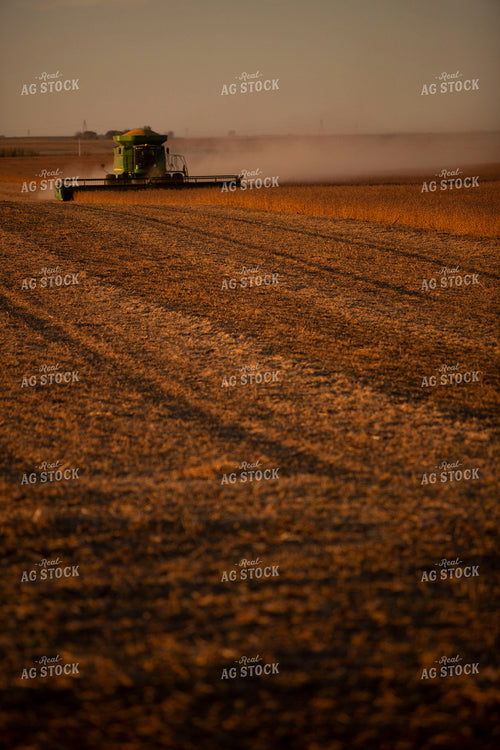 Harvest 1717