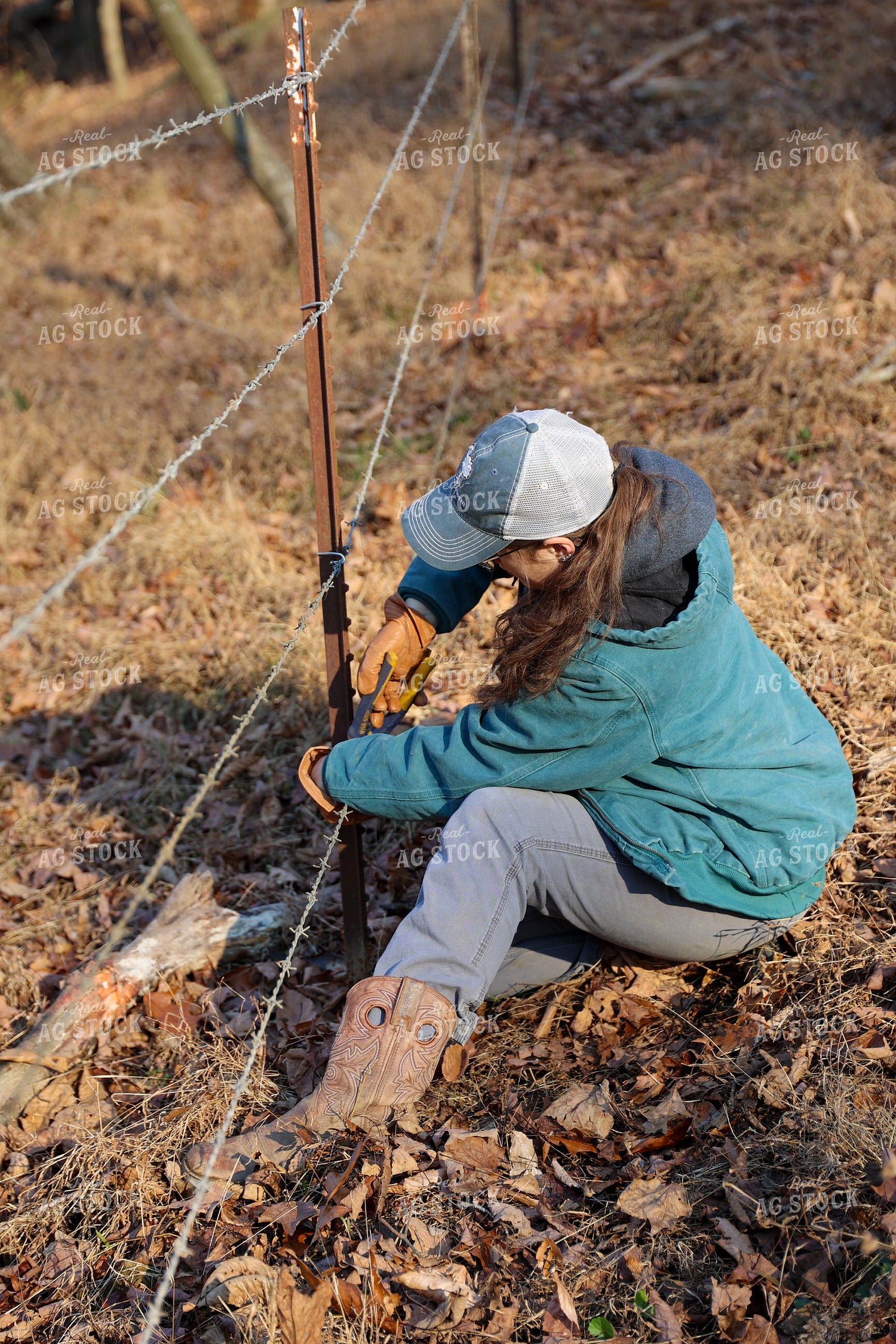 Putting Up Barbed Wire Fence 52275