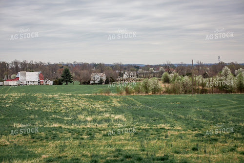 Spring Pasture 270506