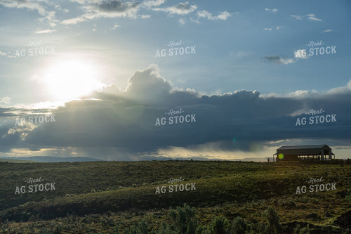 Scenic Pasture 65393