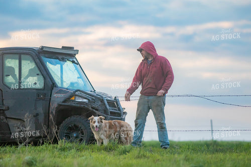 Dog and Farmer in Pasture 72050