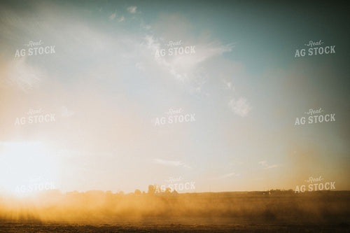 Soybean Dust at Sunset 5096