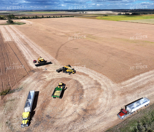 Aerial of Wheat Harvest 141182